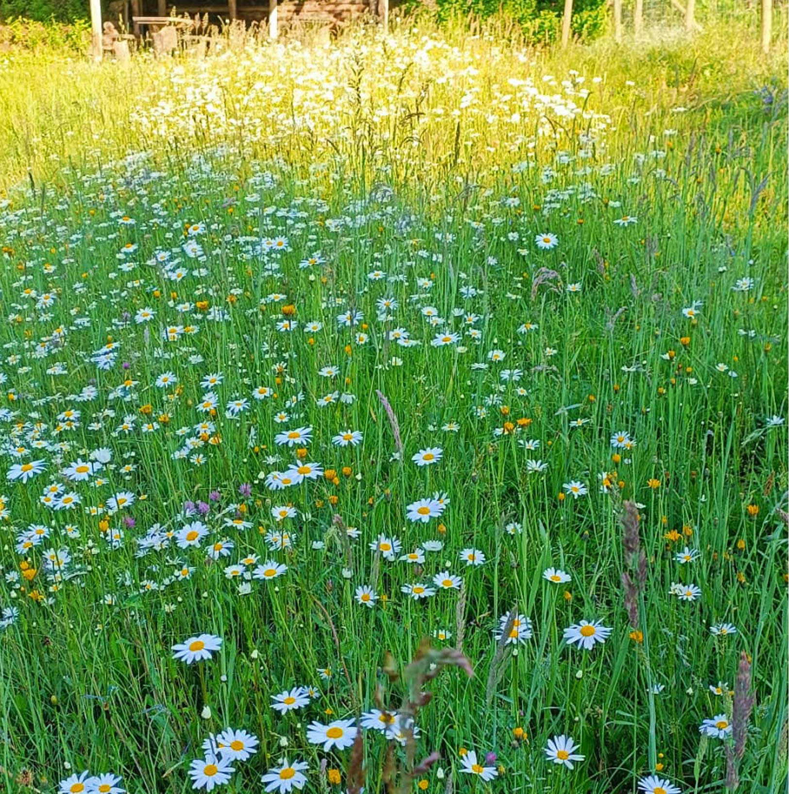 Mein Blog - Perfektionismus ablegen: Warum ein fehlerfreies Leben dich erschöpft